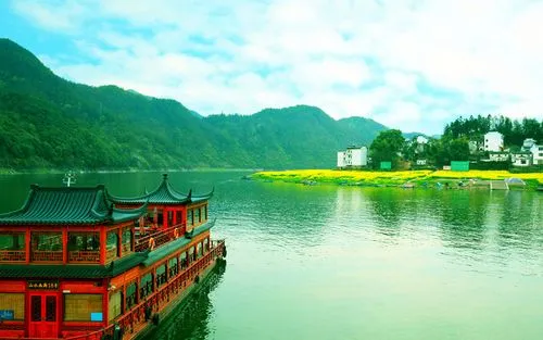 高标准创新